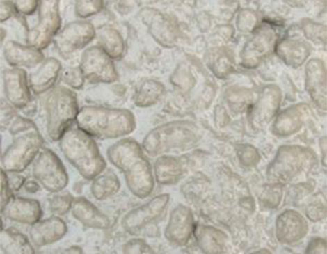 陶?；炷?></div> 

</div>
		</div>
	</div>



<div   id=