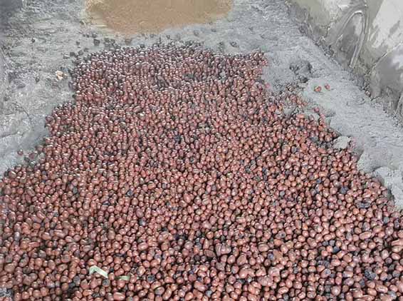 輕骨料混凝土施工